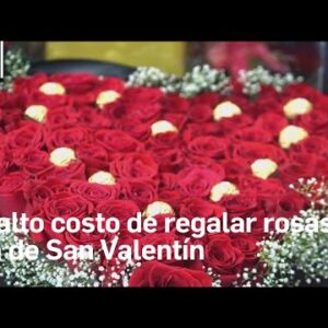 El valor de una rosa natural: un regalo que trasciende el precio