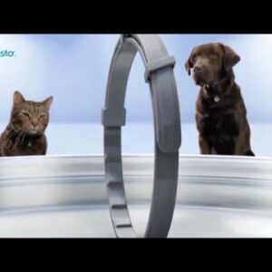 El collar Seresto para perros de menos de 8 kg: la solución perfecta para proteger a tu mascota
